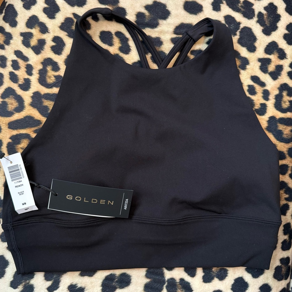 ARITZIA GOLDEN Reach Sports Bra